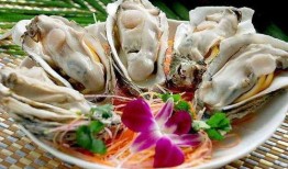 爆料生蚝海鲜吃货视频教程,吃货必看视频教程解析