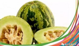 林州吃瓜最新爆料,揭秘最新爆料背后的真相